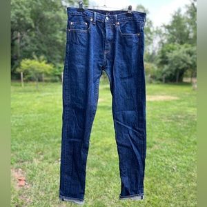 Gap Denim Kaihara Japanese Selvedge Jeans